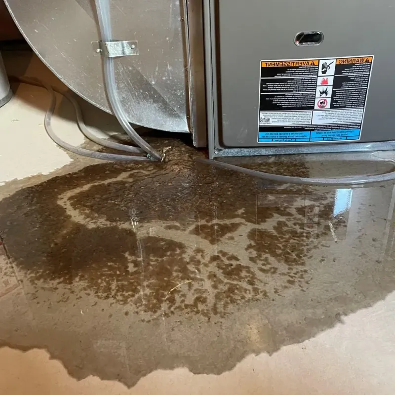 Pipe Burst and Leak Restoration in Sunset Park, NY